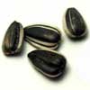 sunflower-seeds